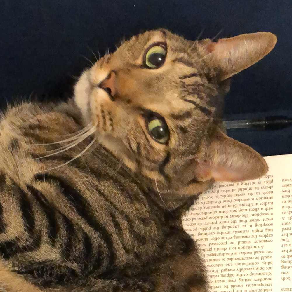 Meet your Posher, Emma